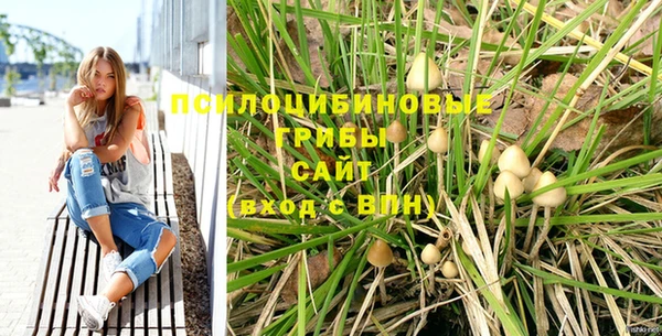 ешки Белокуриха