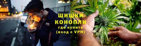 ешки Белокуриха