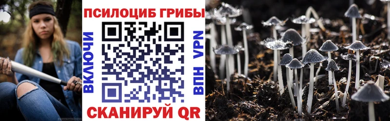 мега вход  Губкинский  Псилоцибиновые грибы Cubensis 